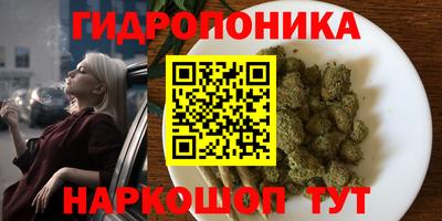 a pvp Донской