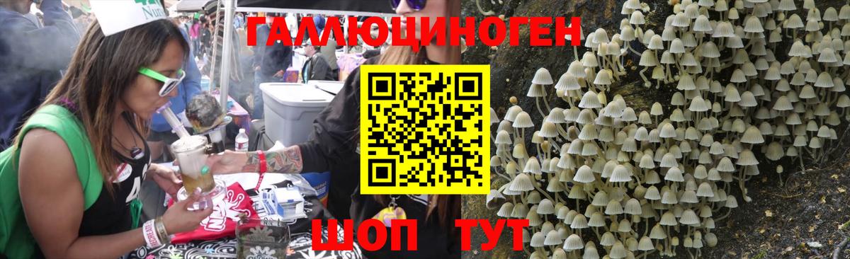 Псилоцибиновые грибы Psilocybine cubensis  Вход с VPN  Ковров 